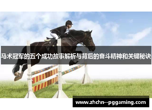 马术冠军的五个成功故事解析与背后的奋斗精神和关键秘诀