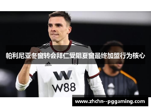 帕利尼亚冬窗转会拜仁受阻夏窗最终加盟行为核心 帕利尼亚冬窗转会拜仁受阻夏窗最终加盟行为核心