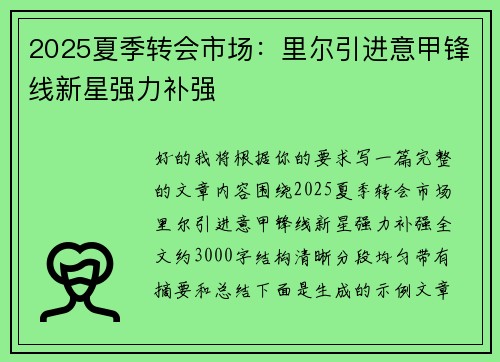 2025夏季转会市场：里尔引进意甲锋线新星强力补强